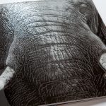Druckveredelung - Elefantenhaut mit 3D-Lack